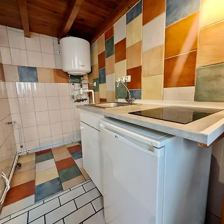 In Hyper Centre Close To Amenities * Grenoble